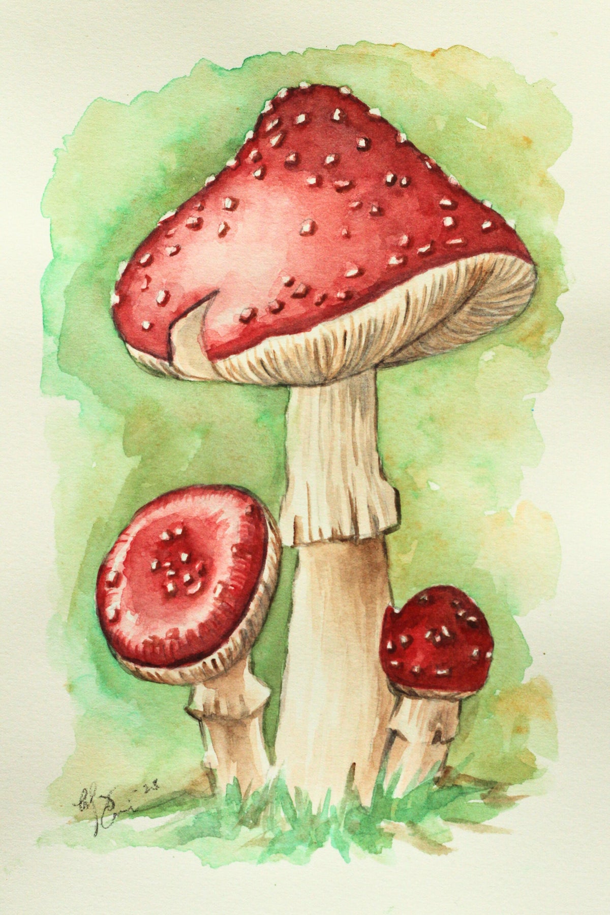 Mushroom | WATERCOLOR