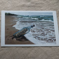 A Letter from the Sea | Limited Edition Giclée Prints · 8 × 11 inches