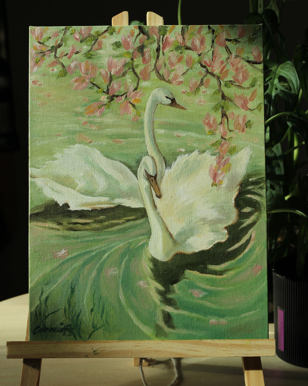 Reflection | OIL