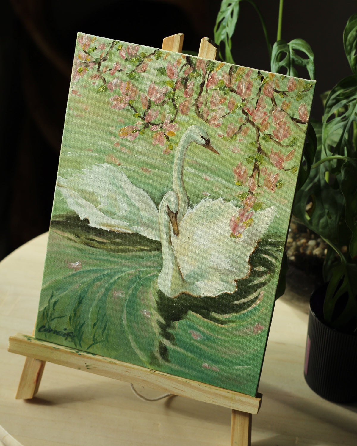 Reflection | OIL