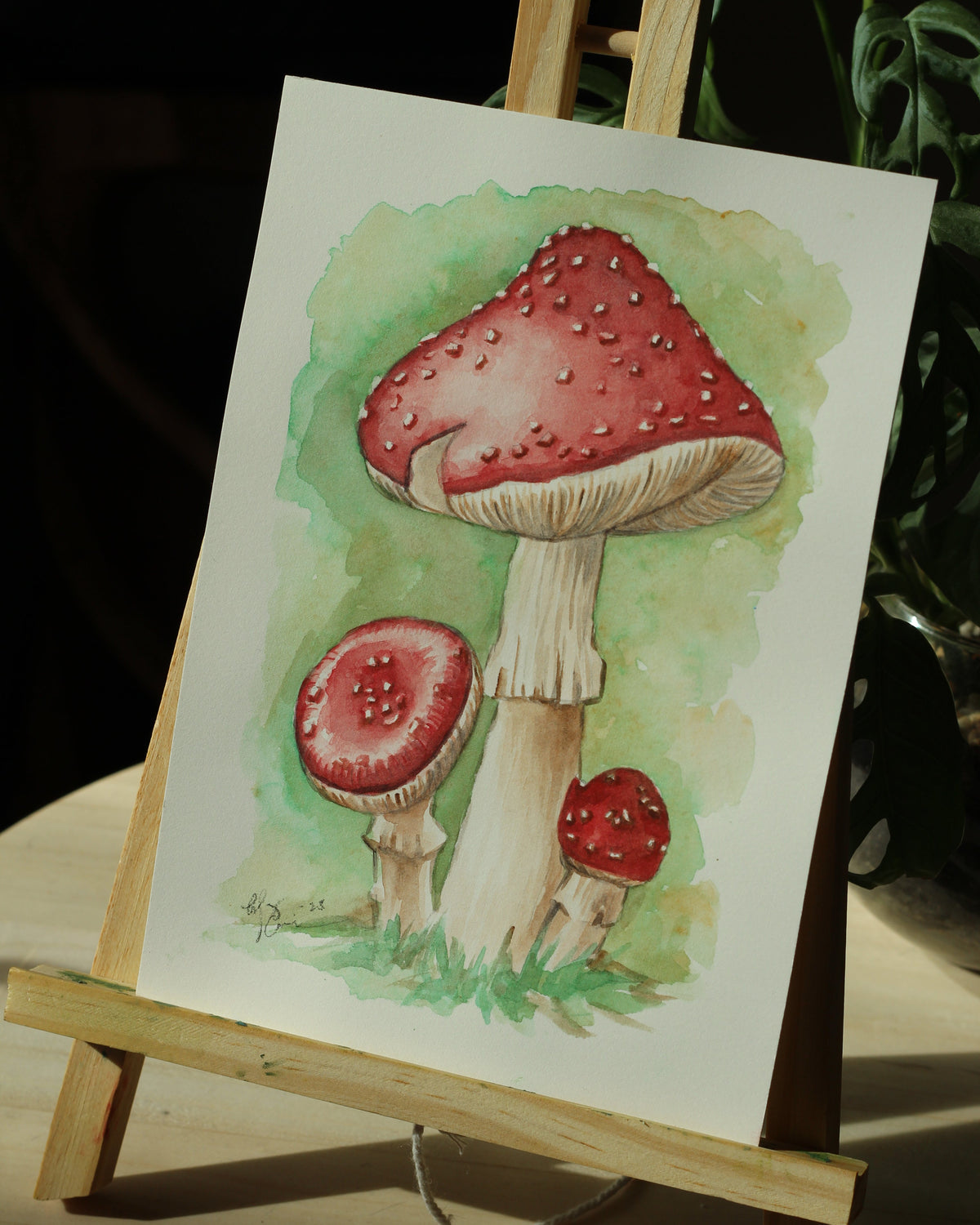 Mushroom | WATERCOLOR